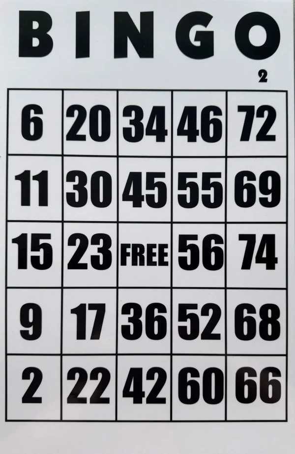 Gigantic Laminated Bingo Cards - Image 2