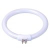 Circular Fluorescent Tube Bulb 12W/T4 for Desk Lamp (VTLAMP10)