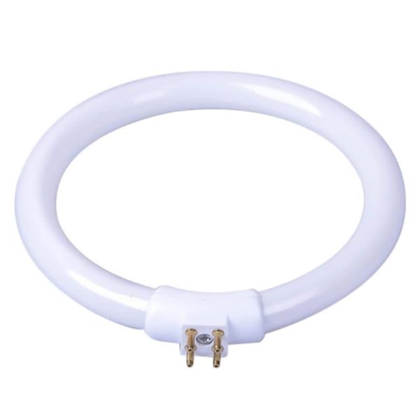 Circular Fluorescent Tube Bulb 12W/T4 for Desk Lamp (VTLAMP10)