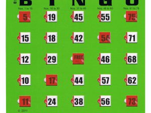 Easy Read Bingo Cards With Finger Tips, 10 Cards