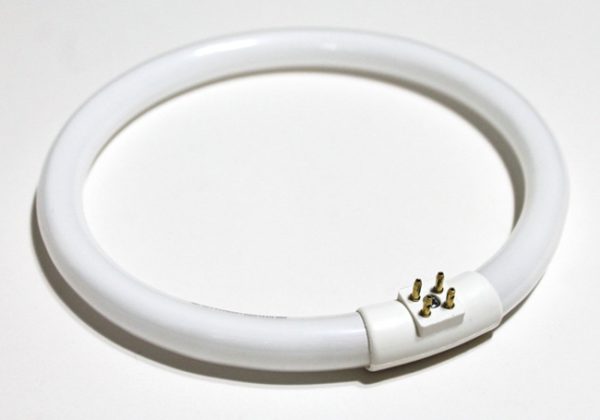 Circular Fluorescent Tube Bulb 12W/T4 for Desk Lamp (VTLAMP10) - Image 2