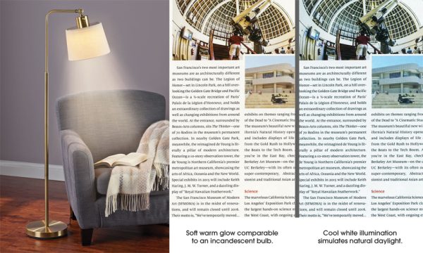 The Eyestrain Reducing Variable Color Reading LED Floor Lamp - Image 3